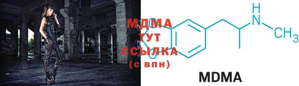 прущие грибы Алзамай