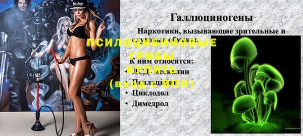 бошки Алексин