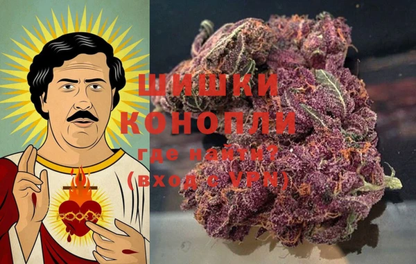 прущие грибы Алзамай