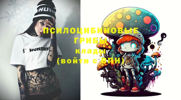 прущие грибы Алзамай